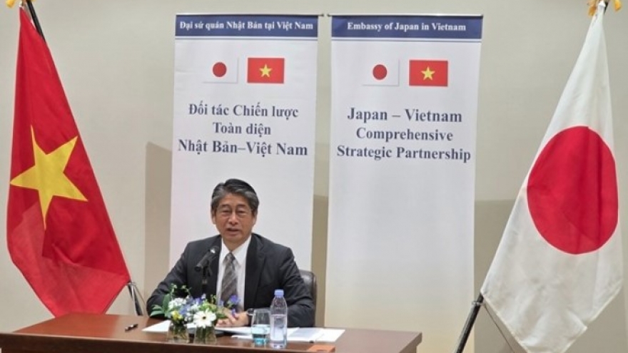 Vietnam-Japan Comprehensive Strategic Partnership witnesses extensive progress